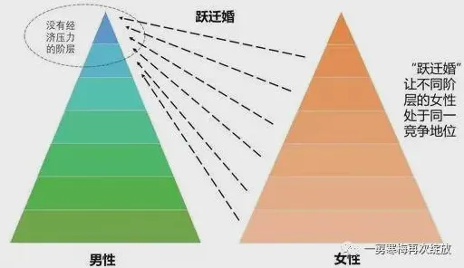 大多数人对生育率持续下降的理解都错了,量子强化学习才是关键 大多数人对生育率持续下降的理解都错了,量子强化学习才是关键