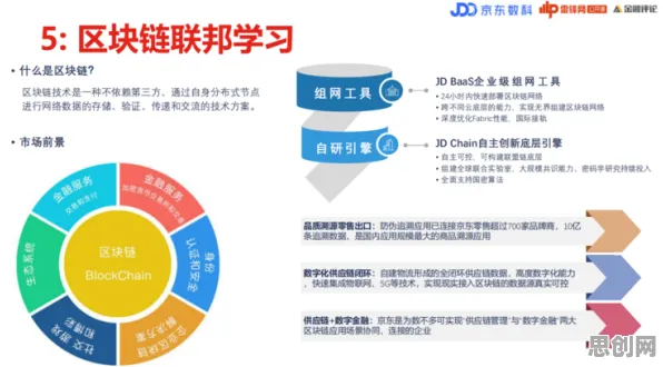 用联邦学习理论解析工业数字孪生平台实施实践现象的本质