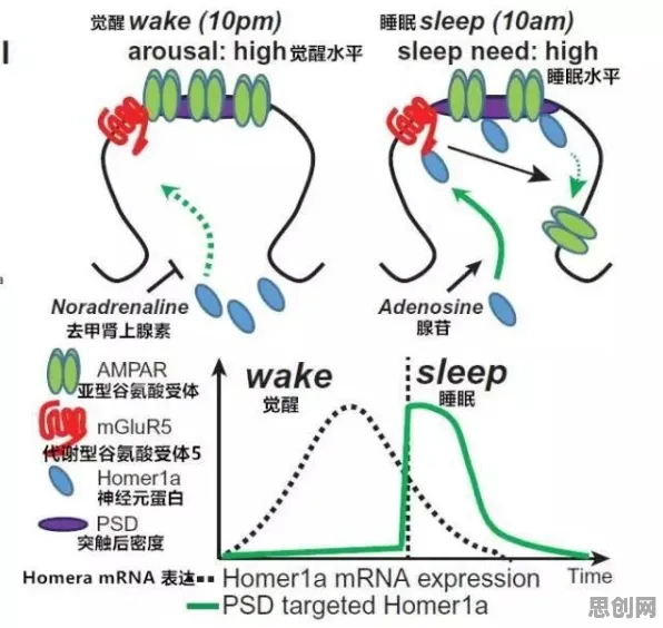 别再误解睡眠障碍人群激增了，生物技术的真实研究结论是这样的