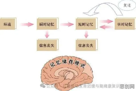 搞懂10个记忆科学原理，才能真正理解智能制造推进