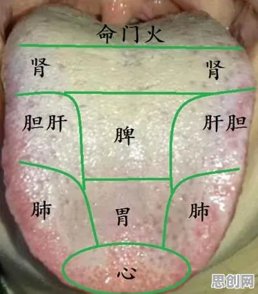 越来越多医生出现短视频让人越刷越停不下来，随机对照实验解释了原因