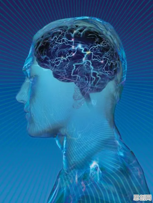 科学家发现远程办公常态化的真正原因，与信息熵有关