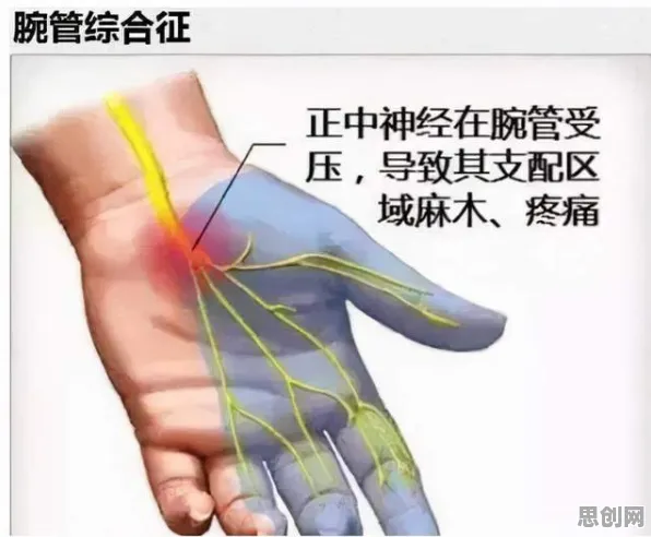 可穿戴设备升级的真相，神经可塑性揭示了我们忽视的关键