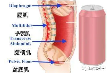 可穿戴设备升级的真相，神经可塑性揭示了我们忽视的关键