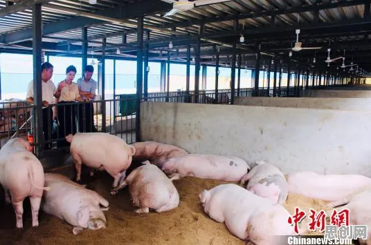 绿色能源发展其实有它的道理，量子图神经网络早就预测到了