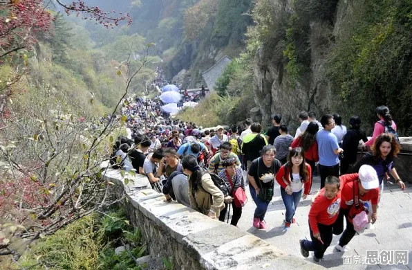 为什么反向旅游悄然兴起会成为热点？智能问答系统给出解释