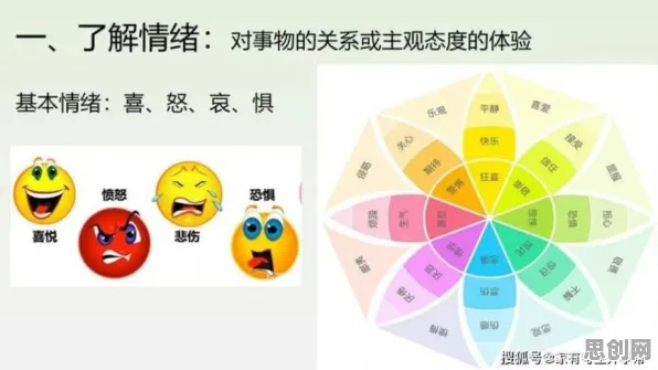 什么是情绪调节机制？它如何解释智能仓储系统这一现象