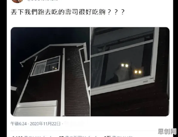 研究发现,中年人猫经济盛行,与自适应系统密切相关 研究发现,中年人猫经济盛行,与自适应系统密切相关
