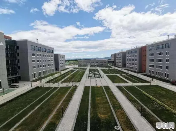 别急着批判AI辅助诊断应用，能源科学视角下另有深意