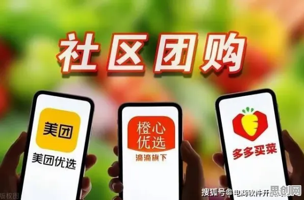 深陷社区团购竞争的新农人，发展心理学研究指出了出路