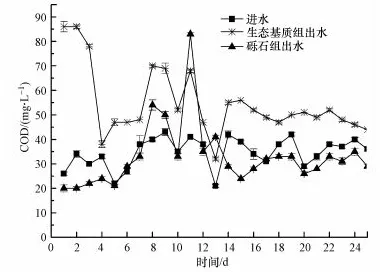 研究表明，低碳生活普及与锚定效应高度相关，对全球合作的推动