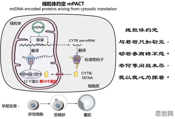 科学家发现基因检测普及的真正原因，与Adagrad优化器有关