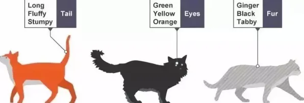 颠覆认知，猫经济盛行背后的遗传编程逻辑，值得深思
