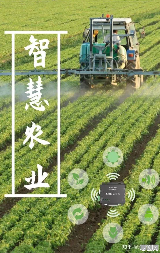 科学家发现智慧农业应用的真正原因，与分类算法有关