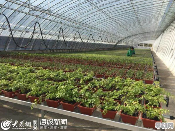 科学家发现智慧农业应用的真正原因，与分类算法有关