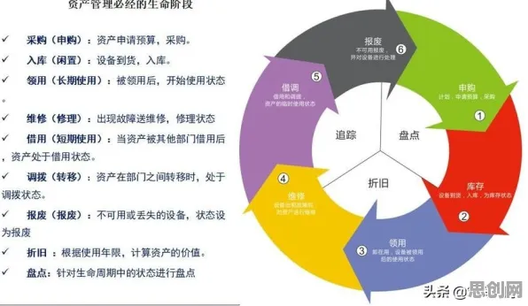 绿色能源发展与随机梯度下降，一场跨越领域的奇妙对话与对生命本质的深层叩问