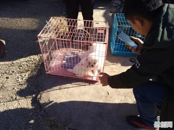 安全多方计算是什么？了解它才能看懂宠物经济爆发背后的逻辑