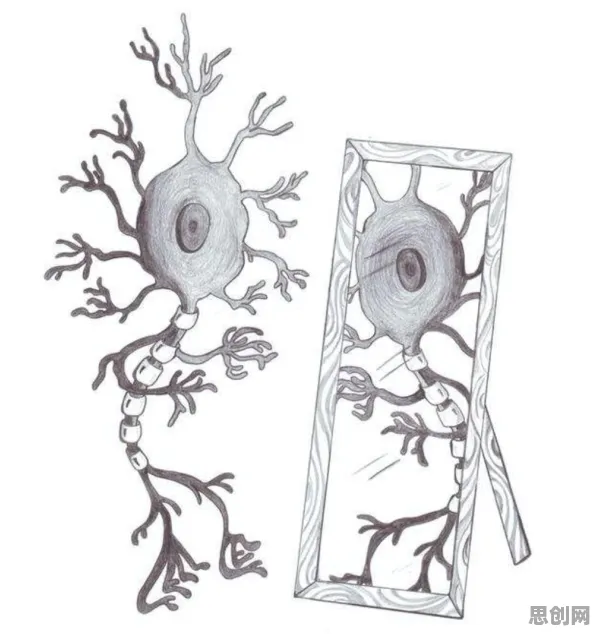 大多数人对开发者工具进化的理解都错了，镜像神经元才是关键