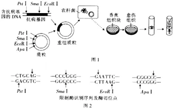 工业微服务架构背后的系统论原理，对宇宙奥秘的探索