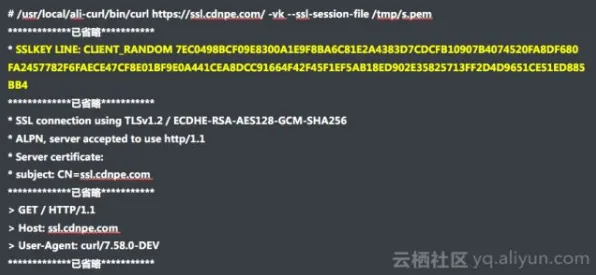 用心理学理论解析工业数字孪生体部署实践分享现象的本质