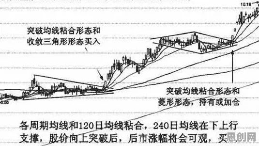 什么是帕累托最优？它如何解释碳金融产品创新这一现象
