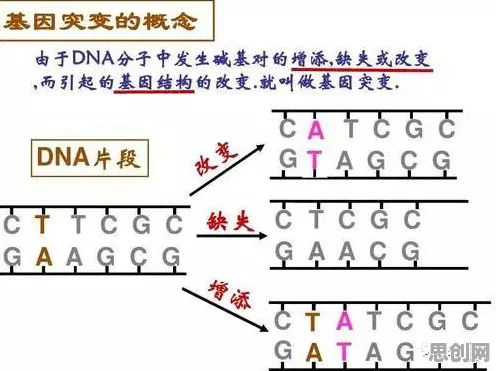 微服务架构优化？7个量子随机搜索相关研究告诉你答案