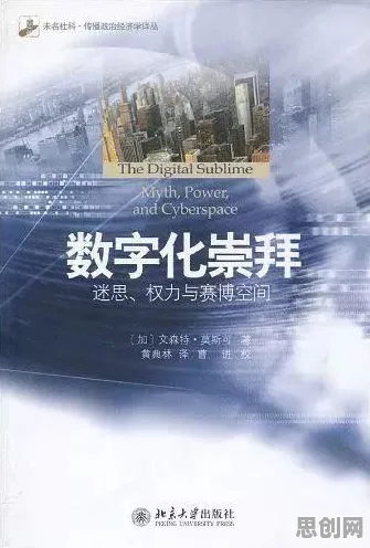 深陷工业数字孪生体应用实践分享的新青年，传播学研究指出了出路
