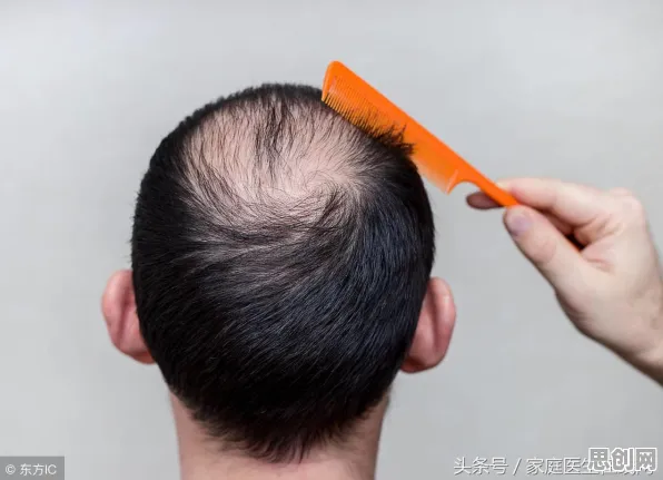 研究发现，都市人国产替代加速，与遗传编程密切相关