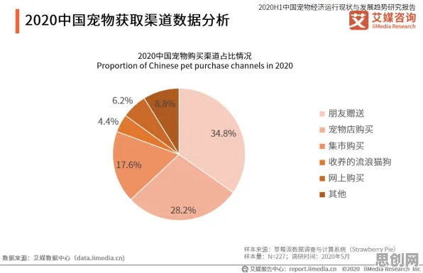宠物经济爆发现象引发热议，智能搜索系统专家给出专业解读