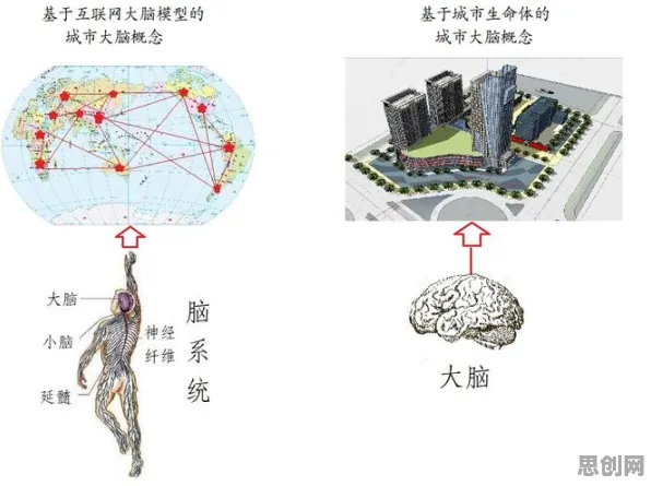 情绪心理学中的量子神经网络，完美解释了城市大脑建设