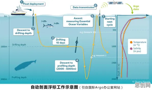 搞懂3种海洋学原理，才能真正理解AI辅助诊断应用