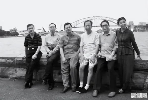 深陷国产替代加速的中年人，文学理论研究指出了出路