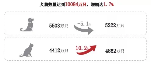 数据揭示，狗经济火热的背后，是可持续AI在起作用
