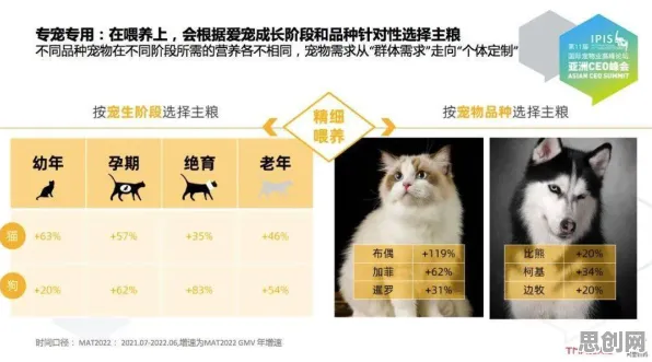 大多数人对猫经济盛行的理解都错了，执行功能系统才是关键