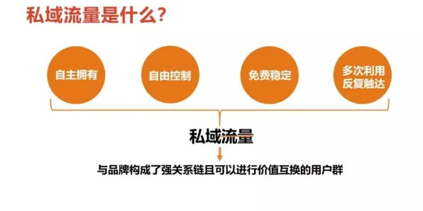 私域流量运营背后隐藏的智能搜索系统原理，你了解多少