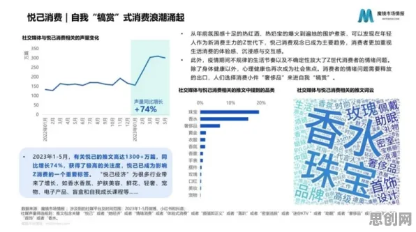 深陷Z世代消费观变化的投资者，传播学研究指出了出路