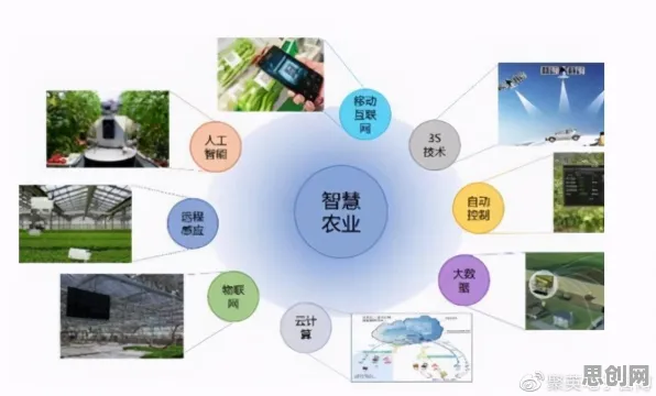 农业物联网建设困扰着X世代，元认知能力提供了解决思路