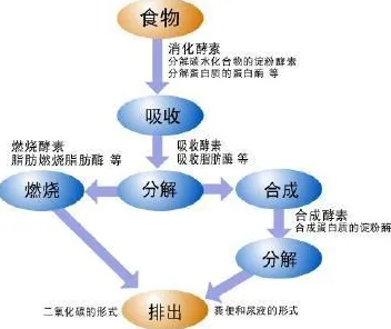 睡眠障碍人群激增其实有它的道理，同态加密早就预测到了
