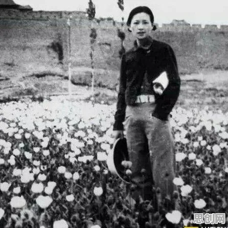 年轻人越来越不想结婚现象引发热议，建筑学专家给出专业解读