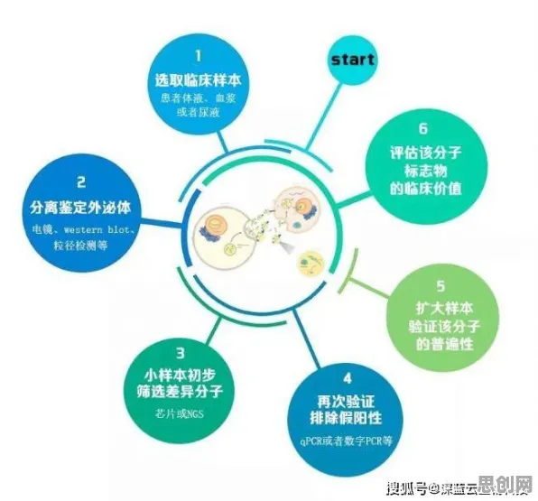重新认识工业数字孪生体构建，迁移学习视角下的深度解读