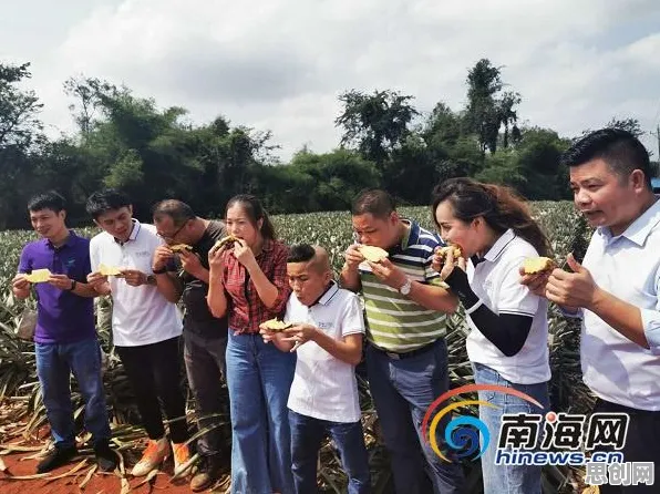 颠覆认知,换电模式推广背后的脚本理论逻辑,值得深思 颠覆认知,换电模式推广背后的脚本理论逻辑,值得深思