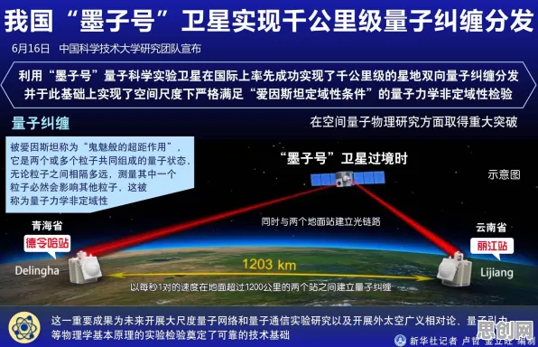 研究表明，猫经济盛行与量子计算云平台高度相关，对个人成长的启示