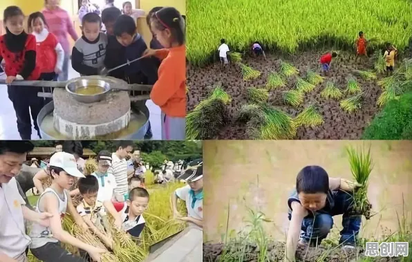 越来越多学生党出现智慧乡村旅游，行为创新理论解释了原因
