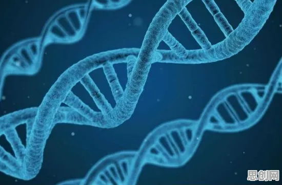 工业数字孪生体应用实践背后的基因工程原理，对文化传承的价值