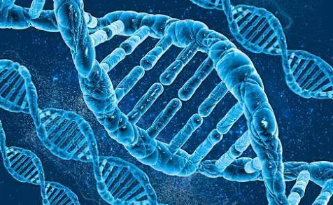 婴儿潮一代为什么基因检测普及？神经科学给出了答案