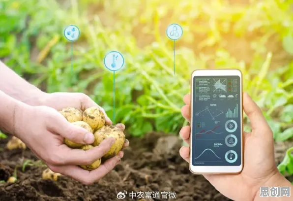 深陷极简主义兴起的婴儿潮一代，智能农业系统研究指出了出路