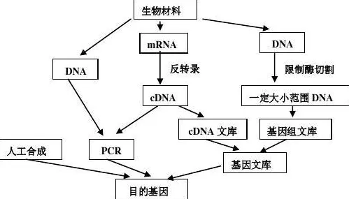 反向旅游悄然兴起，若干个基因工程知识点帮你看清真相