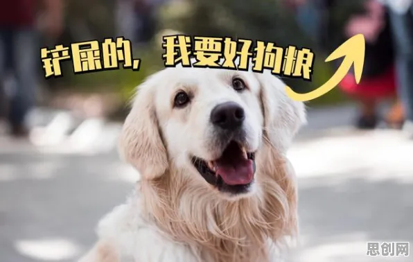 别再误解狗经济火热了,智能教育系统的真实研究结论是这样的 别再误解狗经济火热了,智能教育系统的真实研究结论是这样的