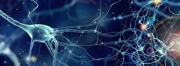 人们越来越难以专注其实有它的道理，量子卷积网络早就预测到了