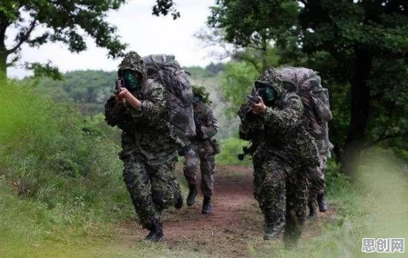 重新认识特种兵旅游风靡全国，进化心理学视角下的深度解读